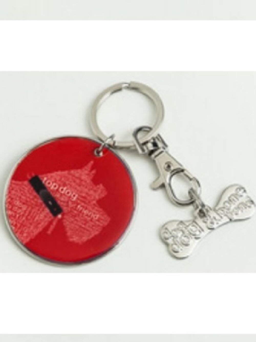 Terrier or Schnauzer Silver Plated Key Chain & Pet Charm Set